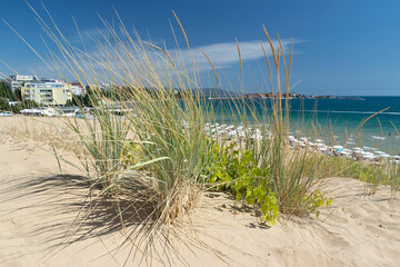 Fototapeta na wymiar Sunny beach with sand dunes and blue sky in Bulgaria