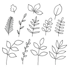 Twigs and leaves set vector illustration, hand drawing doodles