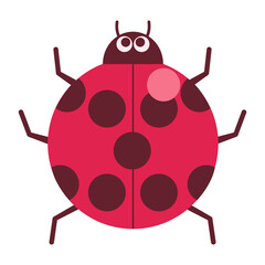 Obraz premium てんとう虫にかわいい目