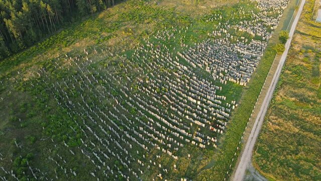 Aerial shot city Brody. Jewish cemetery. Ukraine