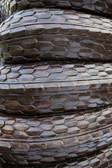 snakeskin pattern texture background
