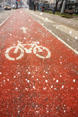 bicycle lane sign in sarajevo, Bosnia
