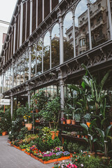 bridge over the river