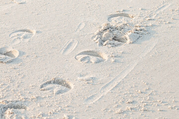 Horse footprints on a beautiful beach in the evening