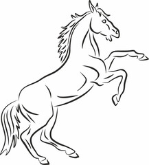 Fototapeta na wymiar Vector monochrome silhouette, horse. Drawn outline of an animal. A graceful rearing horse. 