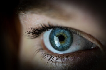 Blu eye close, human part of face, eyeball