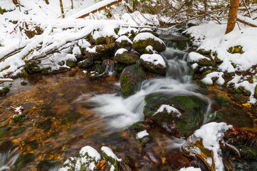 Waterfall, winter, river, tree, forest