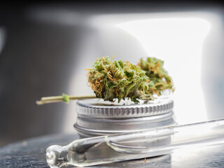 cbd cannabis oil and marijuana flower on metal lab table pipette