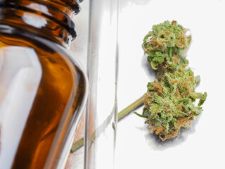 cbd cannabis oil and marijuana flower on metal lab table pipette