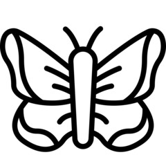 butterfly line icon