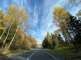 Fototapeta premium road in autumn forest