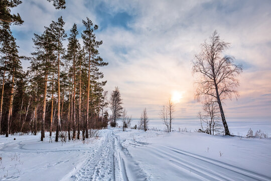 Winter landscape, Western Siberia
