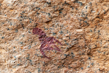 Detail of the prehistoric rock paintings of the San People in Western Namibia, near Spitzkoppe.