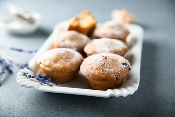 Homemade lavender muffins with icing sugar