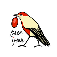 Vector illustration of hand drawn little bird with red breast with ripe barberry twig made with ink. Perfect animal and Christmas design elements.
