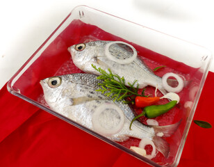 Gerres Fish (Gerres Filamentosus) Whipfin silver biddy Fish, Decorated with vegetables on a glass bowl, White Background.Selective Focus
