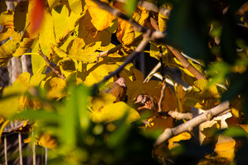 Life is Beautiful. Eat Pray Love