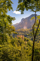 Fototapety na wymiar - Fototapeta24.pl