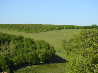 Distant green landscapes in a very sloping hilly green area with trees and sky
