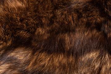 The fur of the arctic fox is brown. The texture of natural fur.