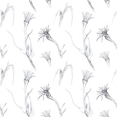 Botanical sketch in pencil, seamless pattern of flowers on an isolated white background, drawing of plants for printing on fabric or paper.