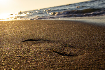 footprints on the beach