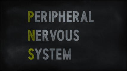 PERIPHERAL NERVOUS SYSTEM (PNS) on chalk board