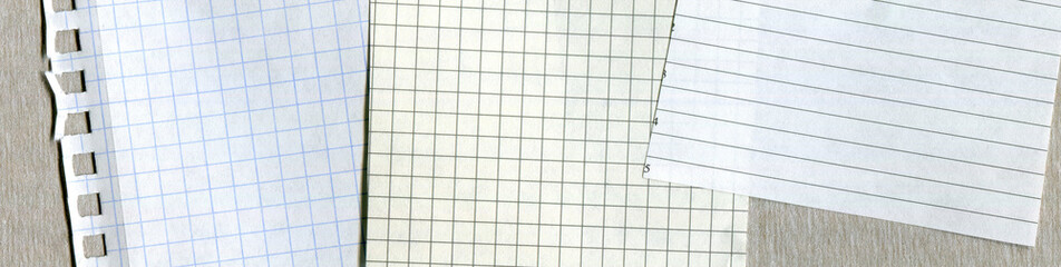 Sheets of paper in a cage for notes, wide view, copy space