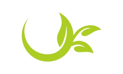 green nature leaf circle logo