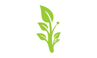 vector leaf design logo