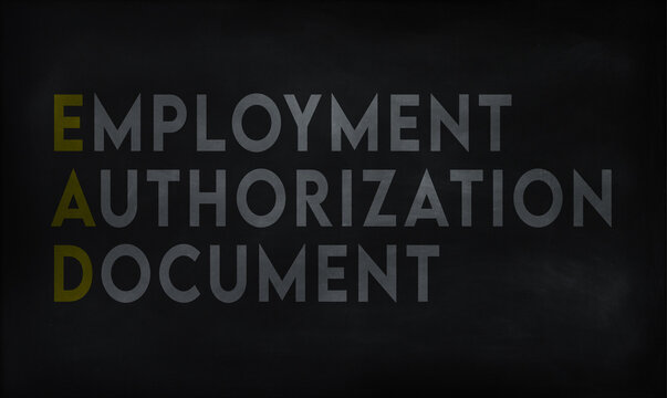 EMPLOYMENT AUTHORIZATION (EAD) on chalk board
