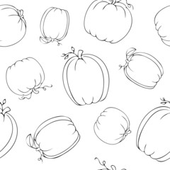 Hand Drawn Black Doodle Different Varieties of Pumpkins with Leaves Seamless Pattern Isolated on White Background. Vector illustration of elegant pumpkins for fabric, cover, textile, kitchen supply.