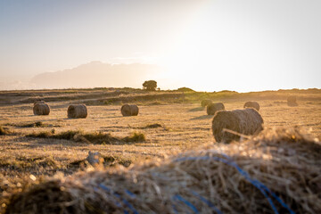 Paisagem plan&iacute;cie alentejana em Portugal
