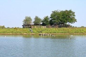 Traditional village in the Danube delta in Romania