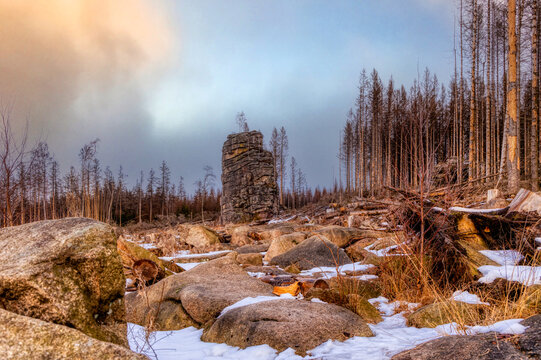 Feuersteinklippe Nationalpark Harz im Winter