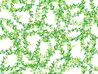 Seamless floral background, green leaves branches, isolated on white.  Watercolor hand drawn illustration.