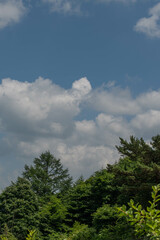 Obraz na płótnie Canvas 구름