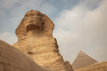 A closeup of the Great Sphinx of Giza