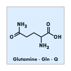 Glutamine - Gln - Q - Conditionally Essential Amino Acid molecular formula, flat chemical structure on blue background for chemistry and biology education.