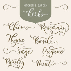 Kitchen and garden herbs. Set of lettering inscription aromatic and medicinal herb Botanical design element. Perfect for recipe, label, packaging.