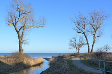 Creek mouth flowing between bare trees into the Baltic Sea against a blue sky in Redewisch near...