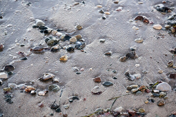 Fototapeta na wymiar Wet beach sand with pebbles, nature background at the sea, copy space, selected focus