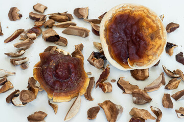 Pile of Dried Ganoderma Lucidum Mushroom isolated on white background. Ling Zhi Mushroom
