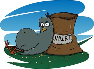Vector illustration of a well-fed pigeon