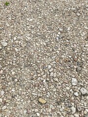 dry river bed
