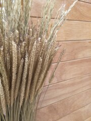 Dry grass and wooden wall