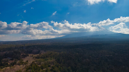 樹海と富士山の空撮