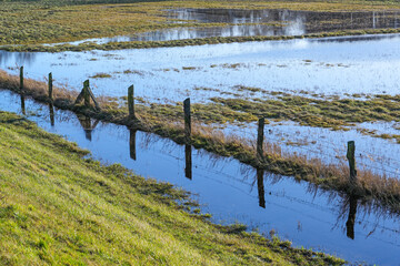 Flooded field after heavy rain, agricultural losses as a result of extreme weather due to global climate change, copy space