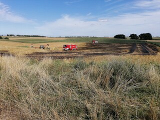 Field fire on a hot summer day. Fire brigade. firefighter.