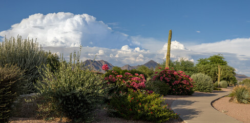 Monsoon clouds and urban desert landscape in Scottsdale, Arizona